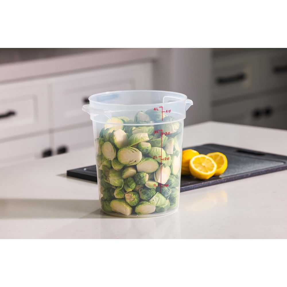 Recipientes de Armazenamento d - Food Storage Quart Containers avaliação e preço