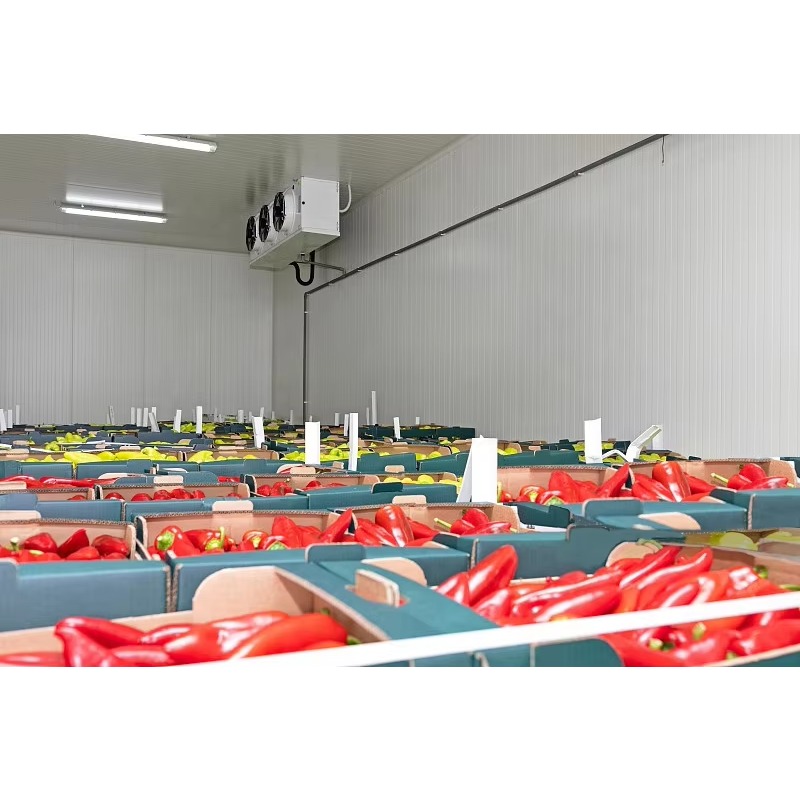 Câmara Fria Personalizada em P - Food Storage Keep Hot avaliação e preço