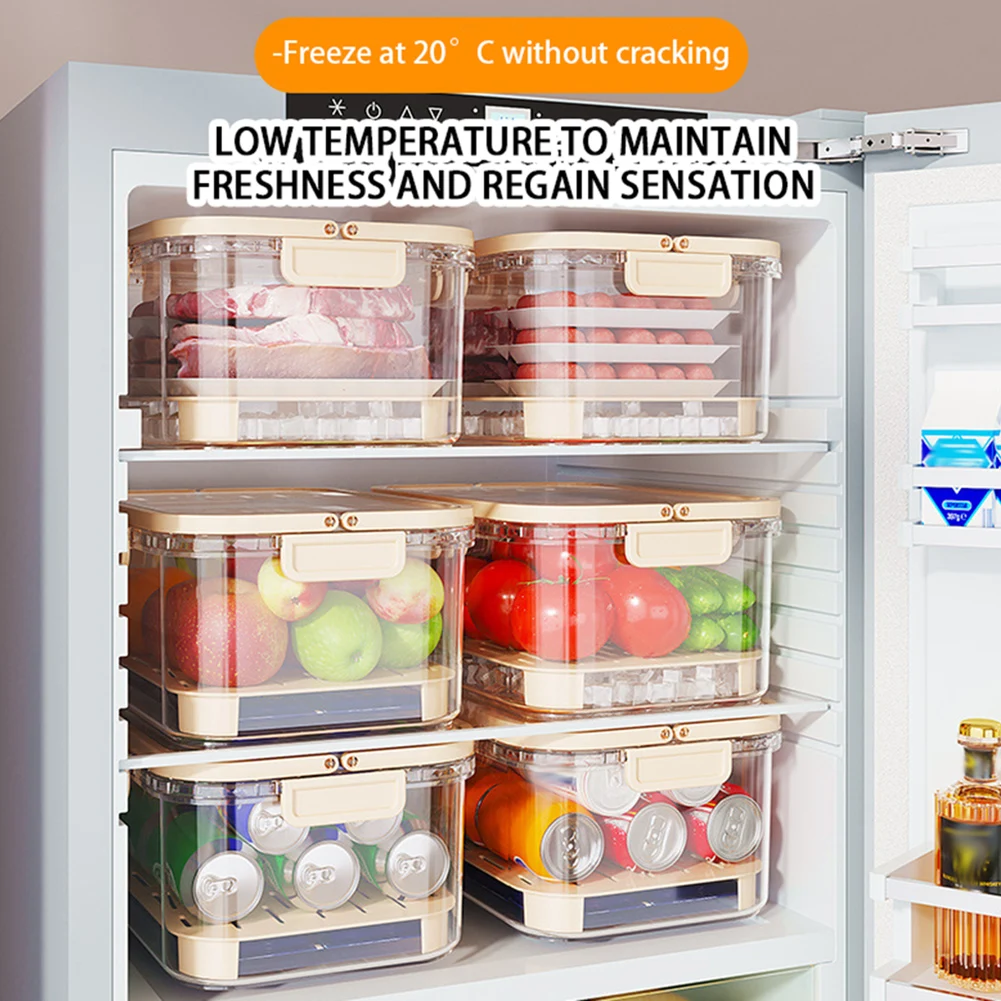Recipiente portátil de armazen - Food Storage Order avaliação e preço